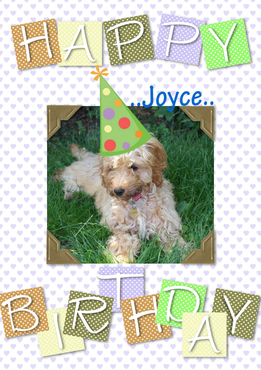 Cute Birthday - card made with Crafty Bob's Card Creator