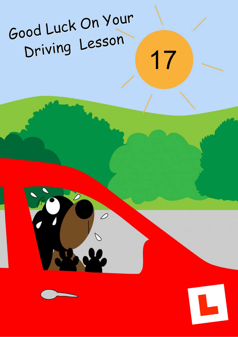 Good Luck Driving Test Card - card made with Crafty Bob's Card Creator
