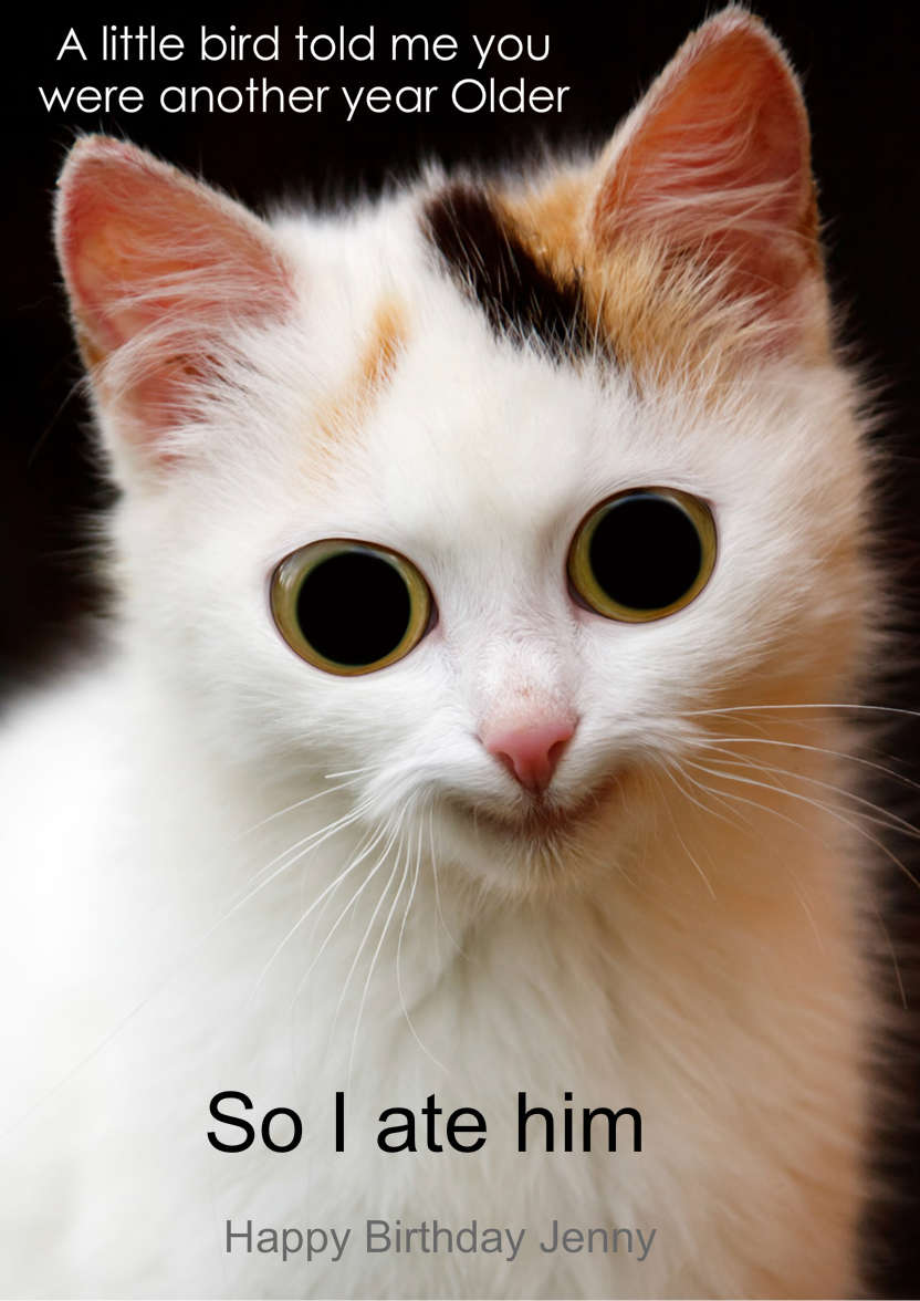 Mischievous Cat Humorous Card Front - card made with Crafty Bob's Card Creator