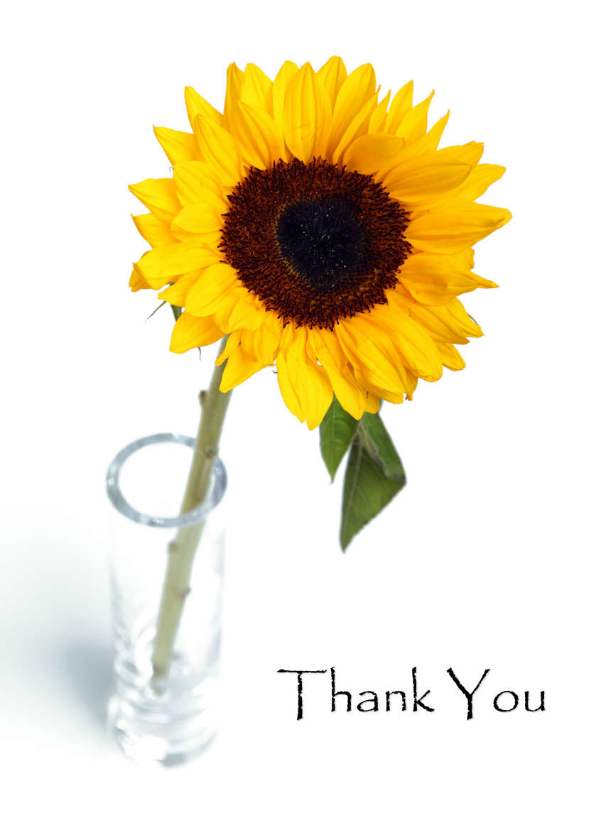 Solitary Sunflower Card Front - card made with Crafty Bob's Card Creator