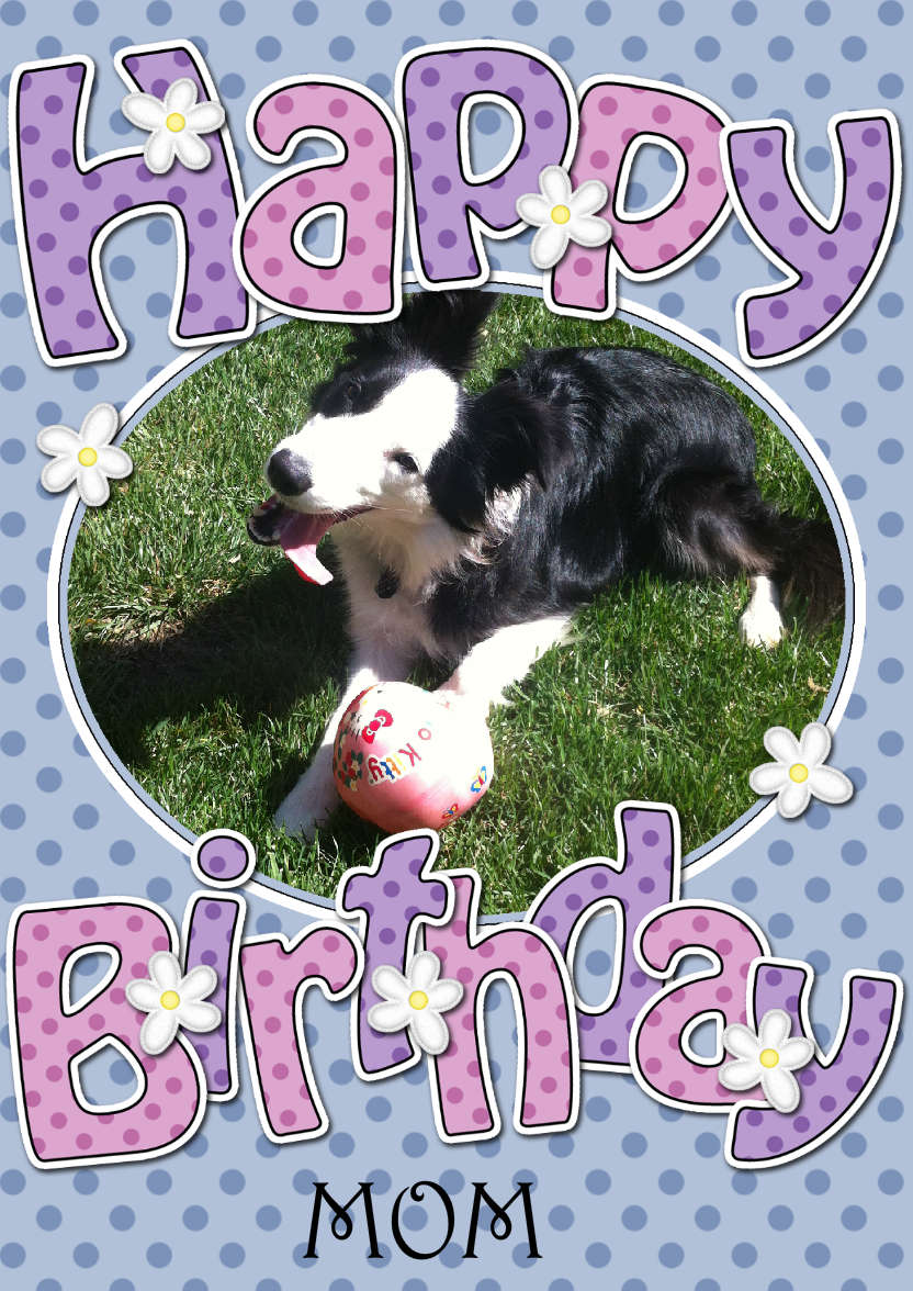 Birthday Dots & Flowers Photo Upload Card - card made with Crafty Bob's Card Creator