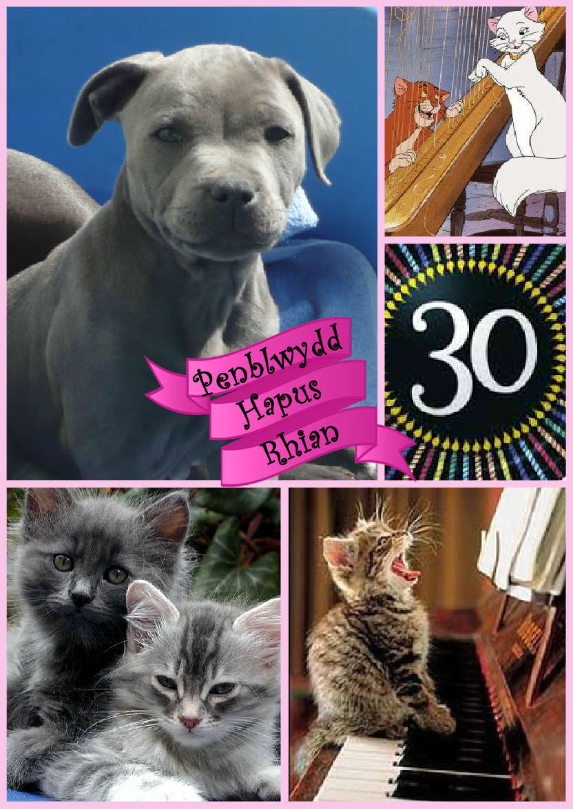Multi-photo Card with Banner Pink - card made with Crafty Bob's Card Creator