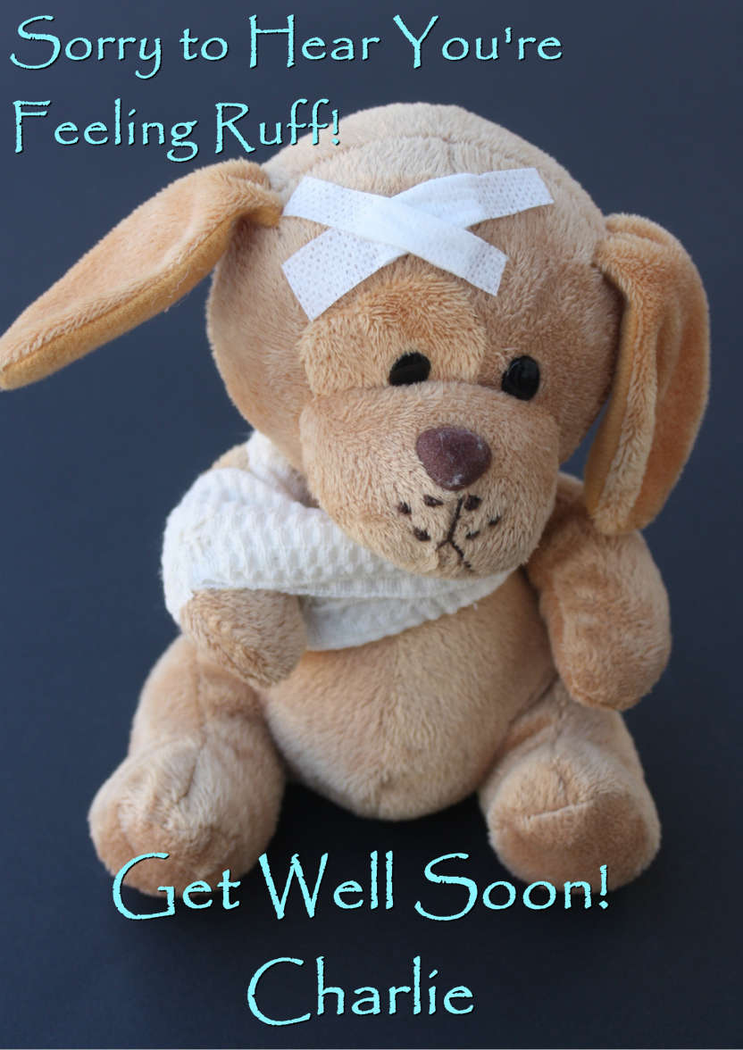 Feeling Ruff Cute Get Well Soon Card Front - card made with Crafty Bob's Card Creator