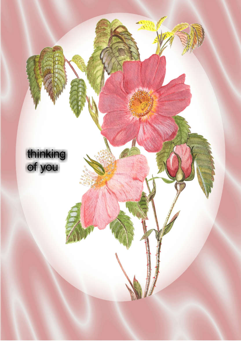 Pink Dog Rose and Satin - card made with Crafty Bob's Card Creator