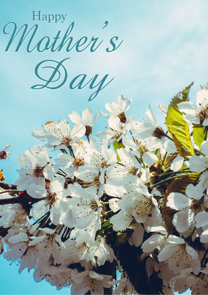 Mother's Day Cherry Blossom - card made with Crafty Bob's Card Creator