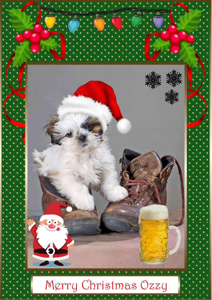 Pup in Boot - card made with Crafty Bob's Card Creator