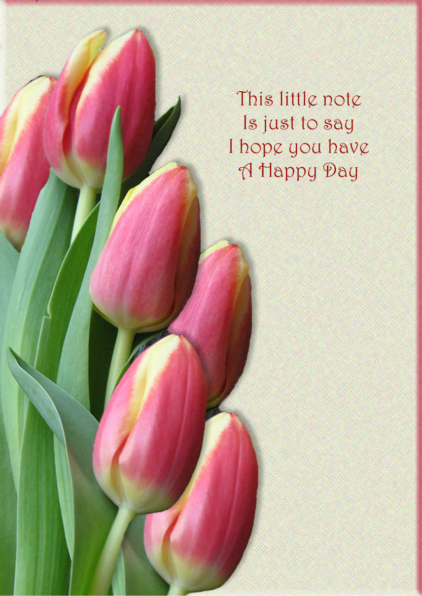 Pink Tulips - card made with Crafty Bob's Card Creator