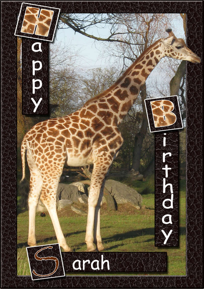 Birthday Giraffe - card made with Crafty Bob's Card Creator