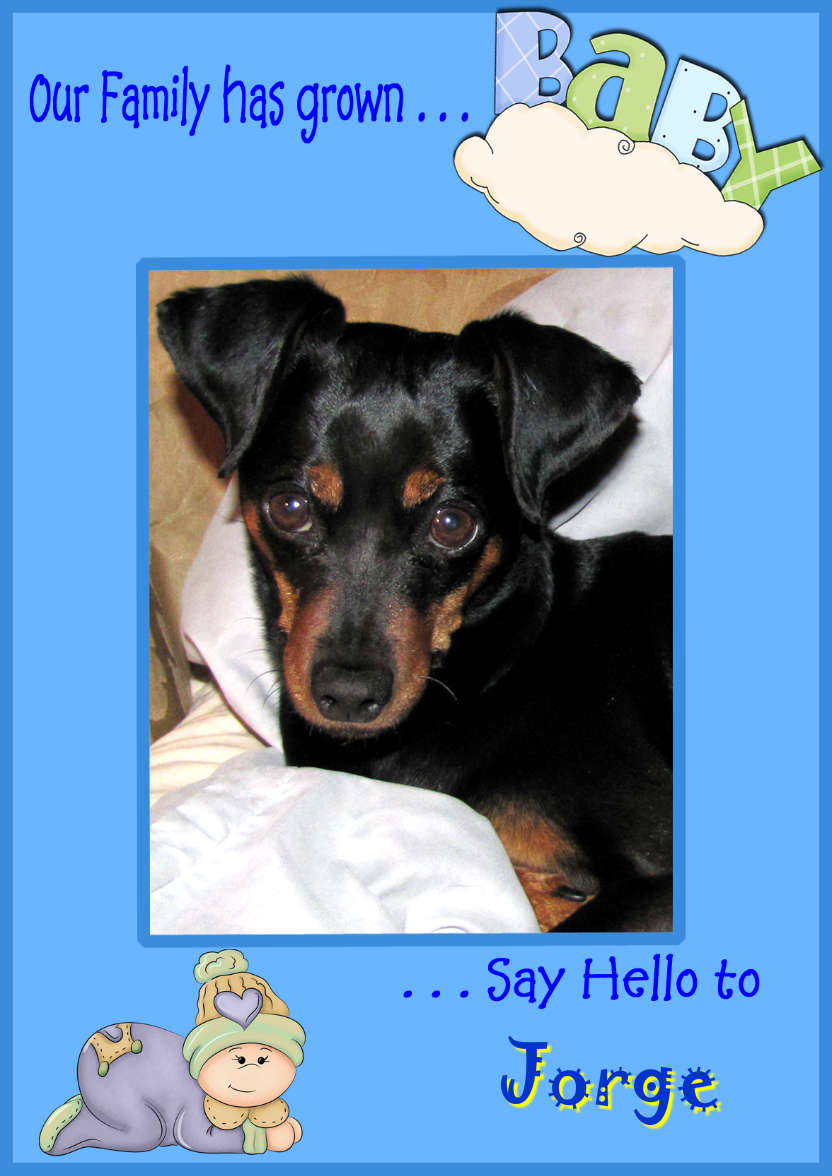 Baby Boy Frame 2 -add Photo and Name to Personalize - card made with Crafty Bob's Card Creator