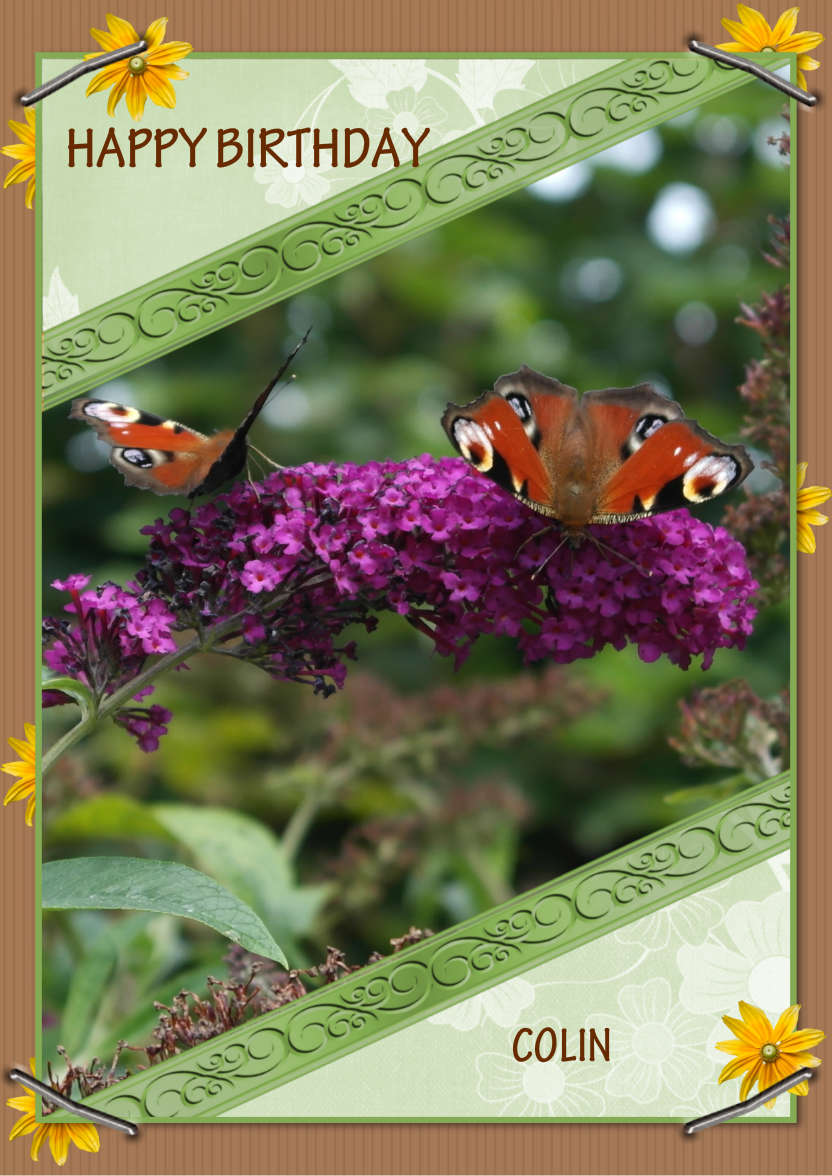 Butterfly Fun - card made with Crafty Bob's Card Creator