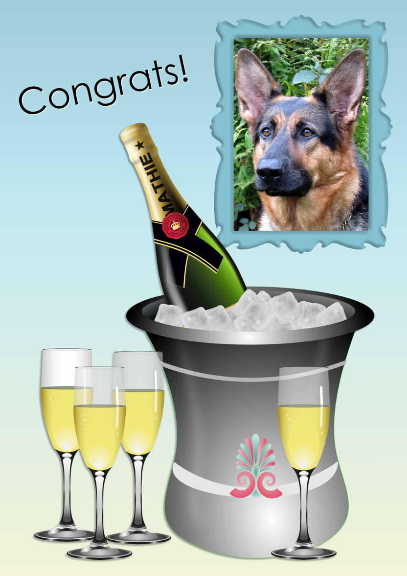 Congratulations Aperture Photo Card - card made with Crafty Bob's Card Creator