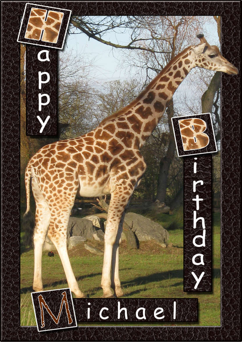 Birthday Giraffe - card made with Crafty Bob's Card Creator