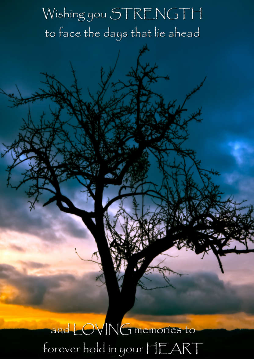 Stunning Tree Silhouette Sympathy Card - card made with Crafty Bob's Card Creator