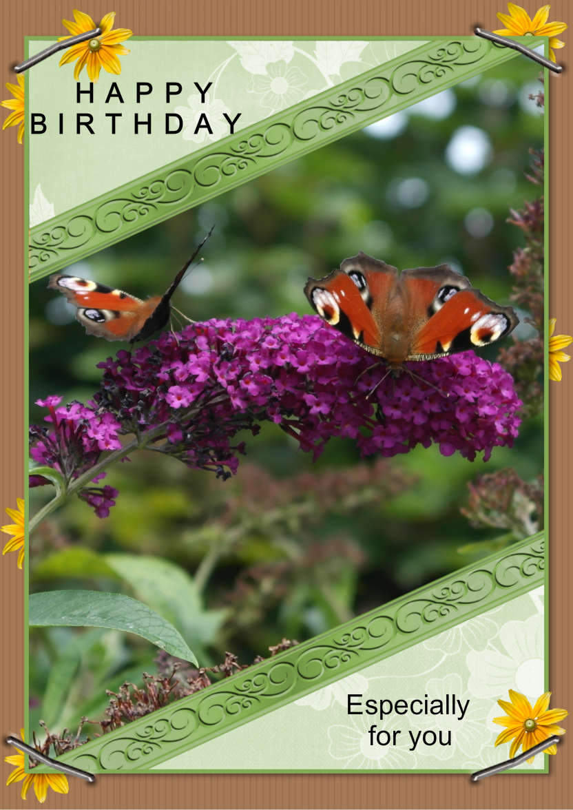 Butterfly Fun - card made with Crafty Bob's Card Creator