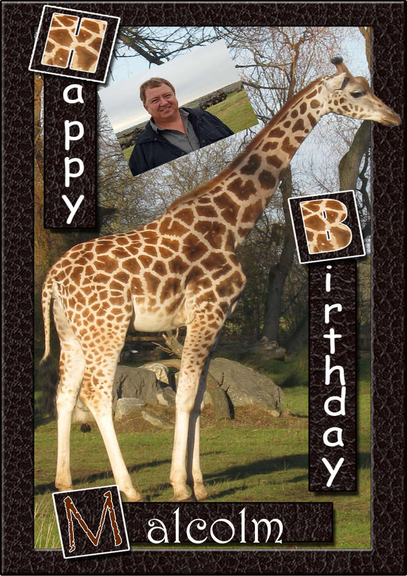 Birthday Giraffe - card made with Crafty Bob's Card Creator