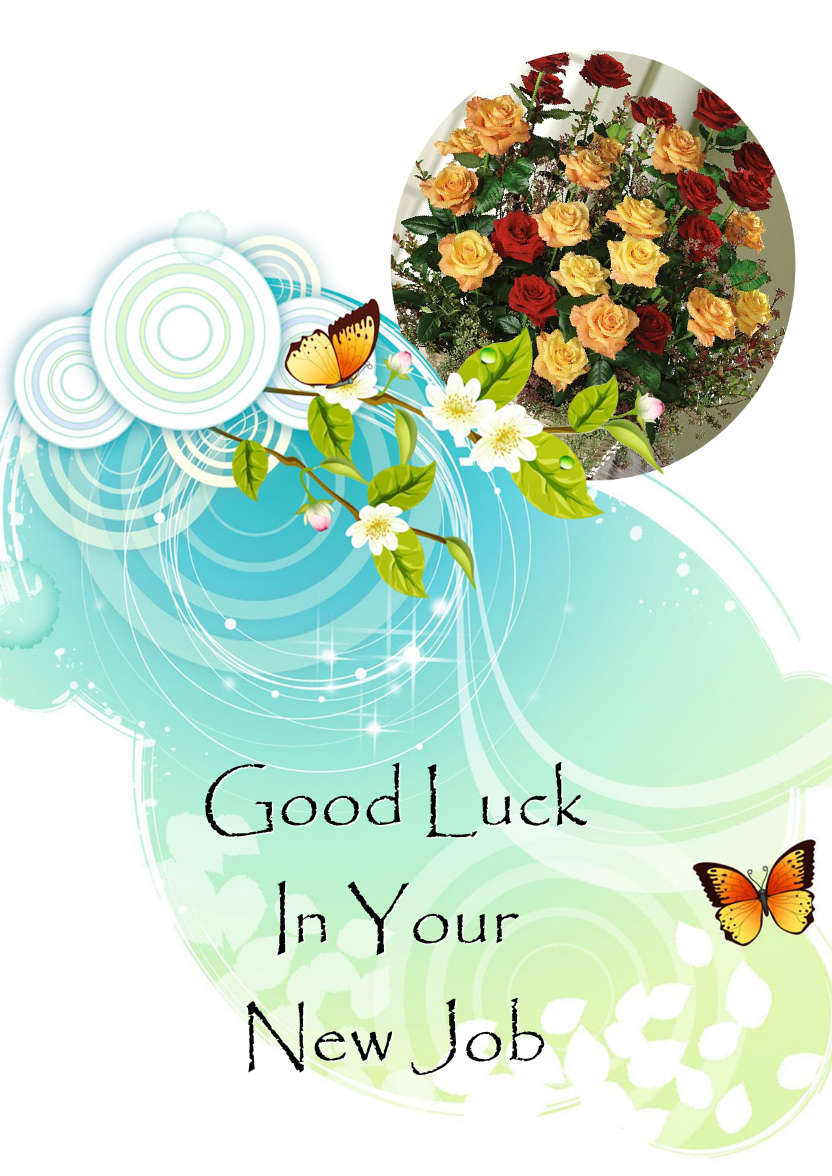 Butterly Arrangement Aperture Photo Card - card made with Crafty Bob's Card Creator
