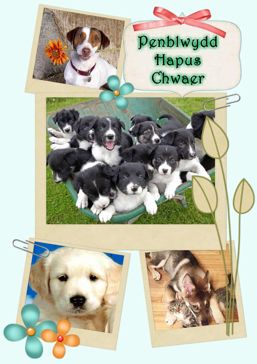Scrapbook Style Multi Photo Card - card made with Crafty Bob's Card Creator