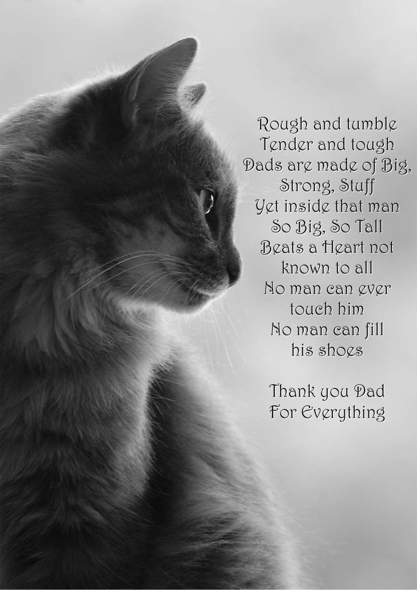 Cat Profile Card - card made with Crafty Bob's Card Creator