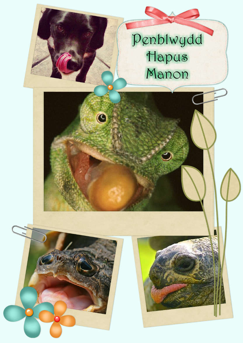 Scrapbook Style Multi Photo Card - card made with Crafty Bob's Card Creator