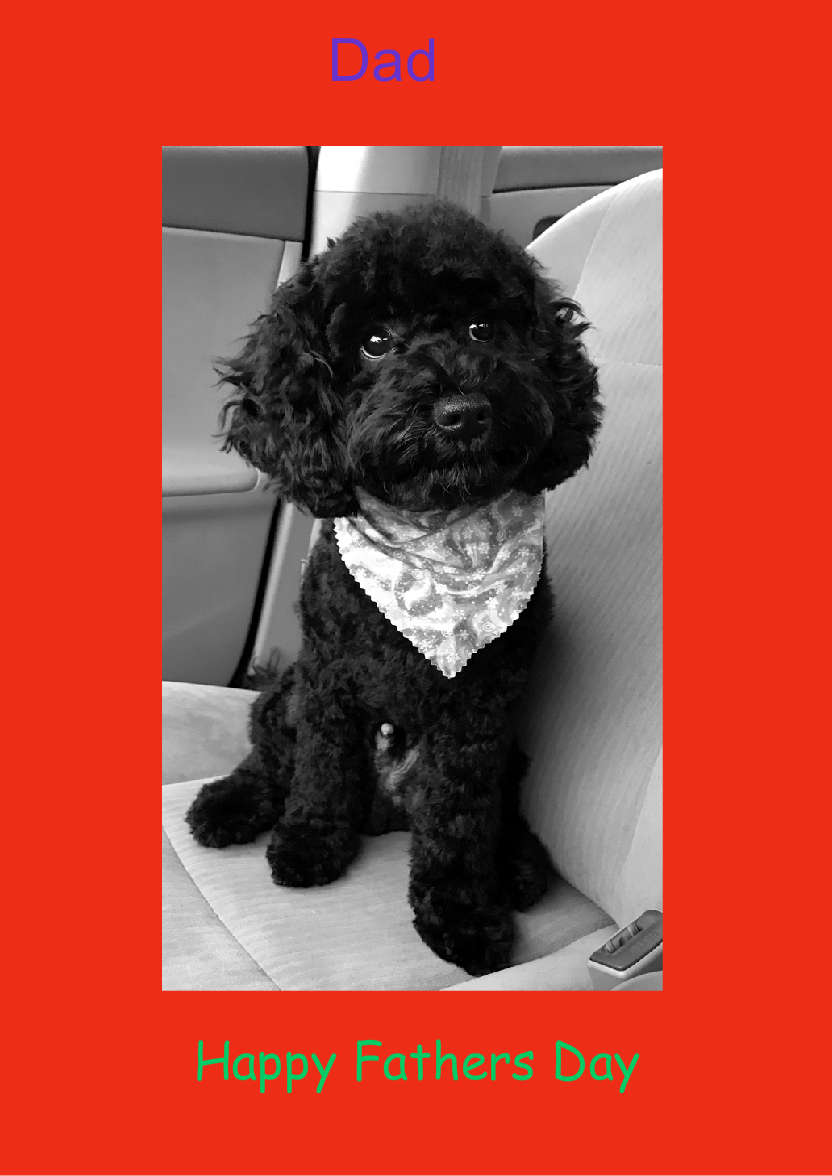 Red Plain Background - card made with Crafty Bob's Card Creator