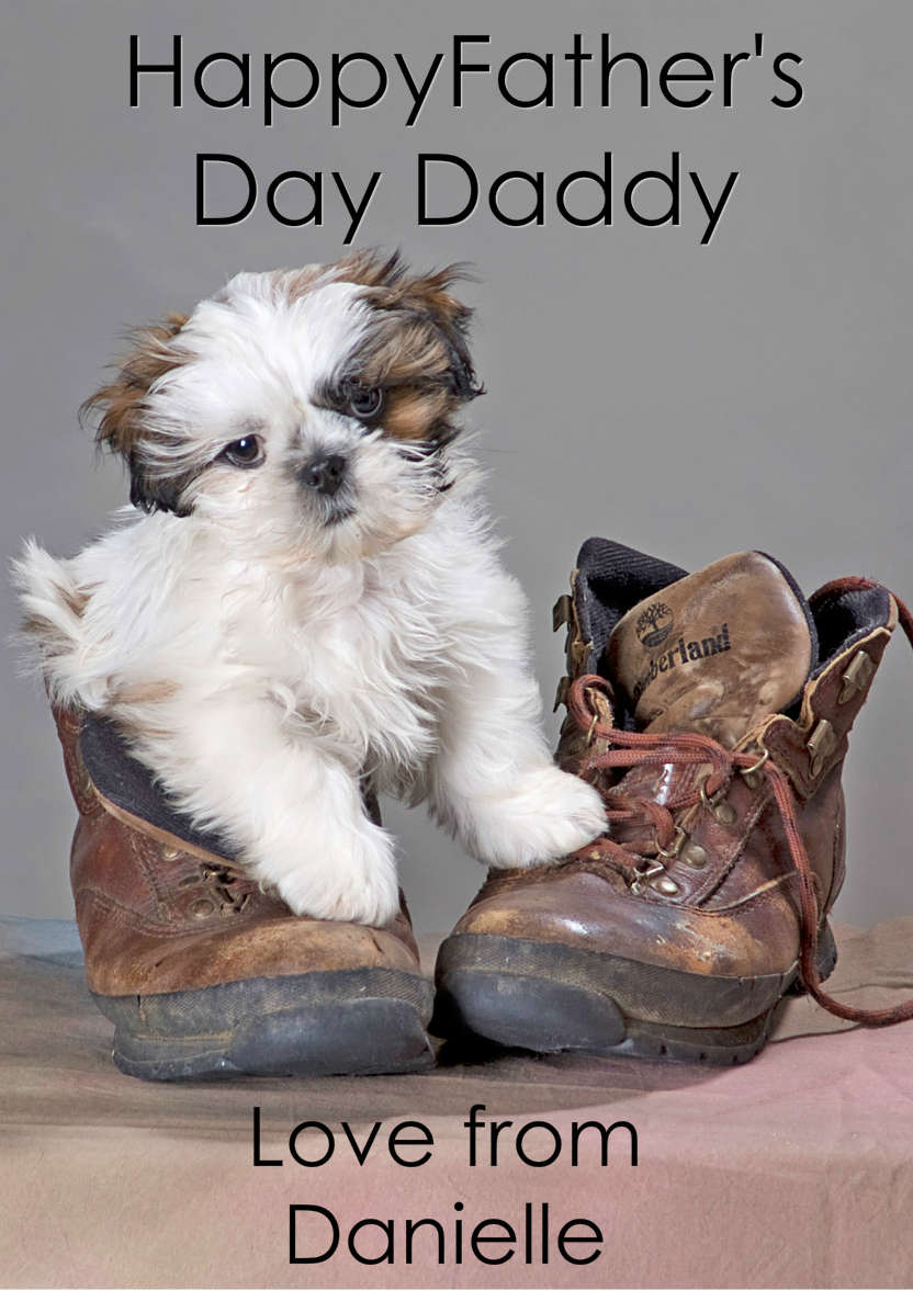 Cute Puppy in Boot - card made with Crafty Bob's Card Creator