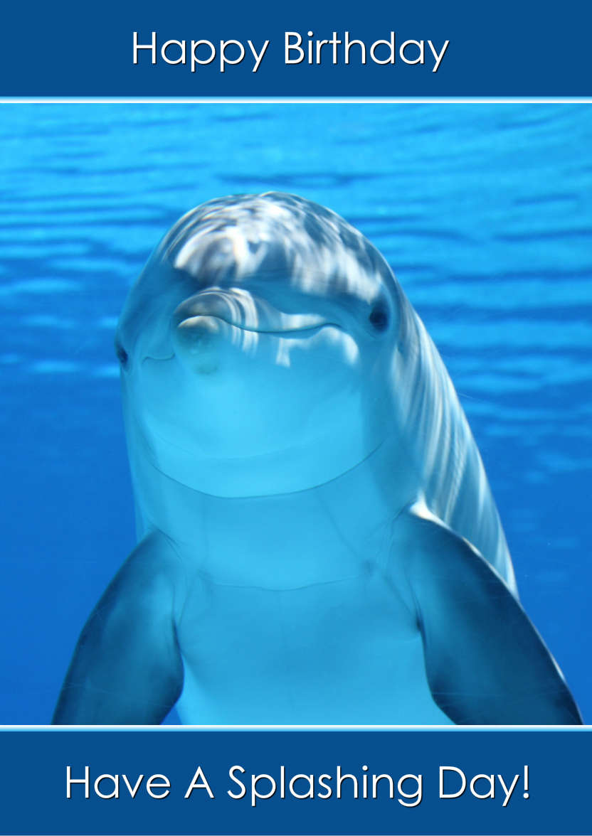 Delightful Dolphin - card made with Crafty Bob's Card Creator