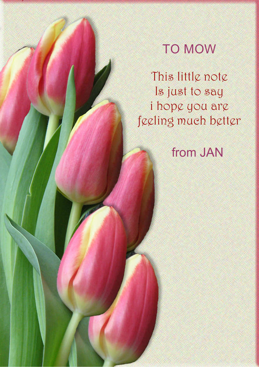 Pink Tulips - card made with Crafty Bob's Card Creator