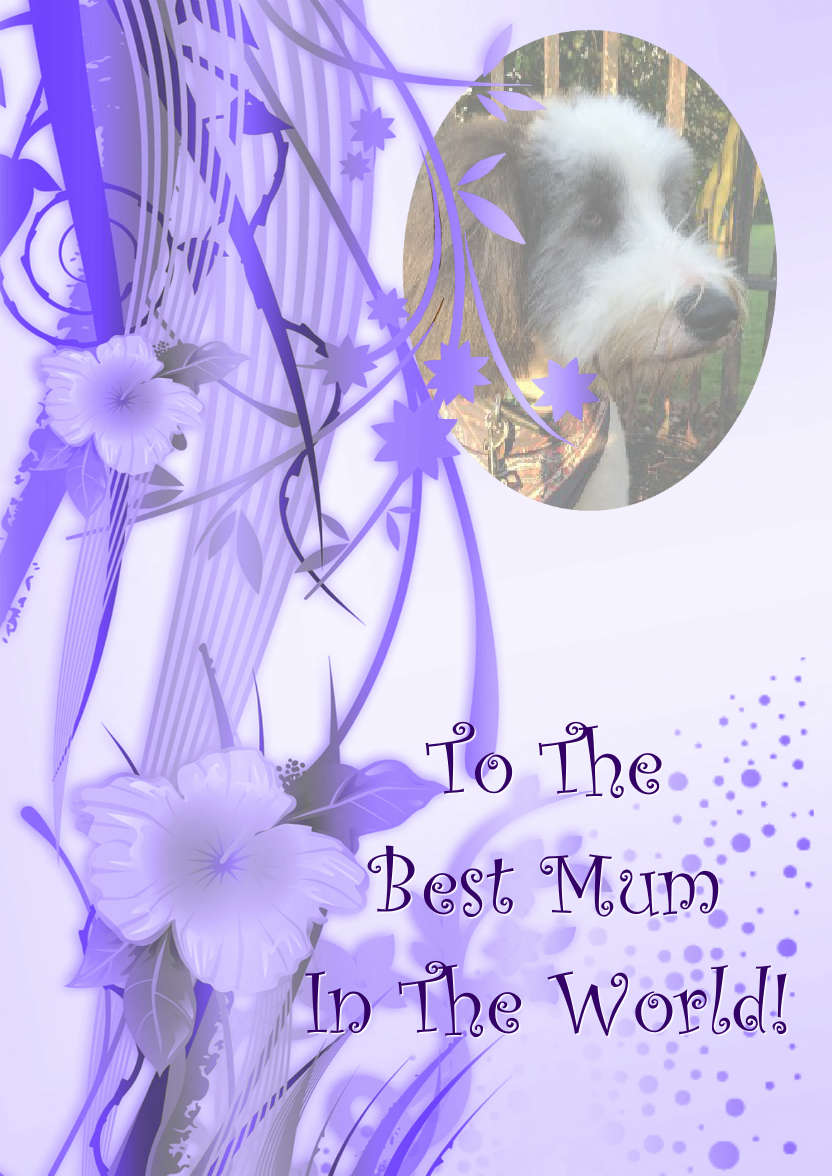 Purple Flourish Photo Card - card made with Crafty Bob's Card Creator