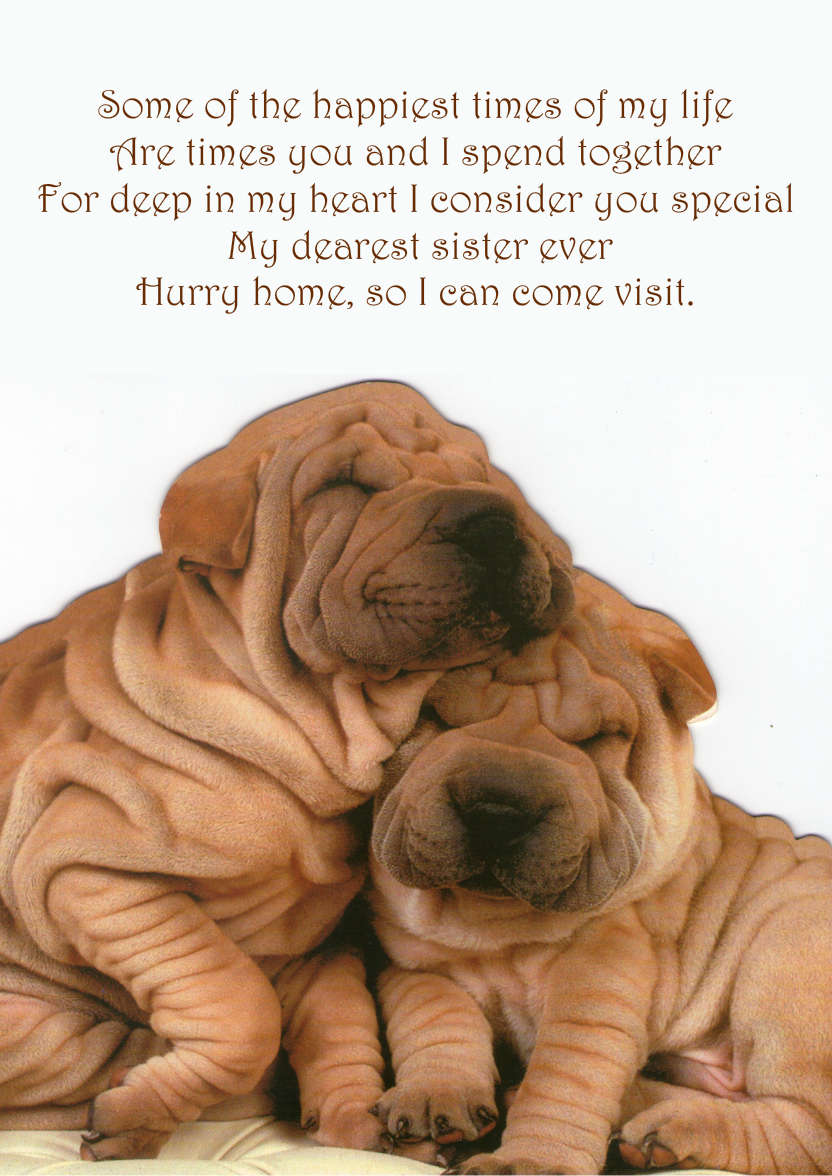 Chinese Shar-pei Cuddle Card - card made with Crafty Bob's Card Creator