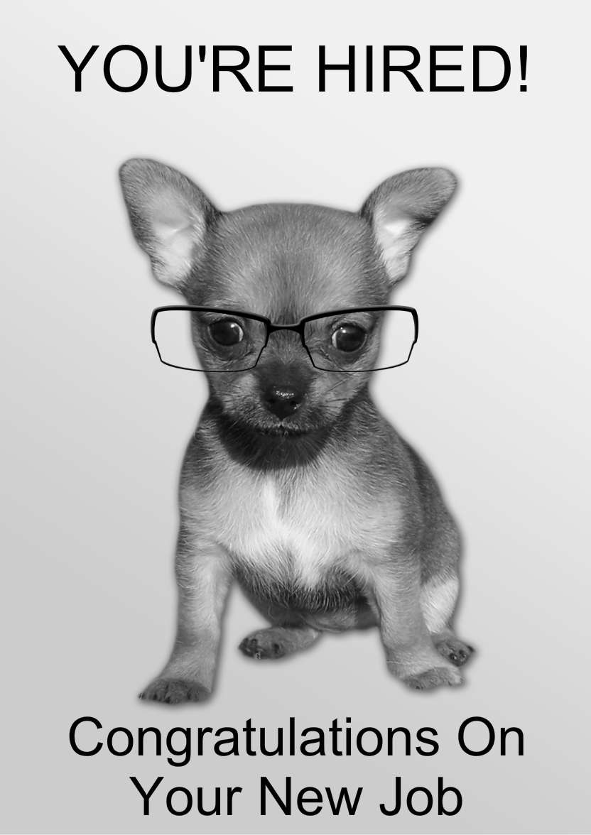 Chihuahua Puppy Card - card made with Crafty Bob's Card Creator