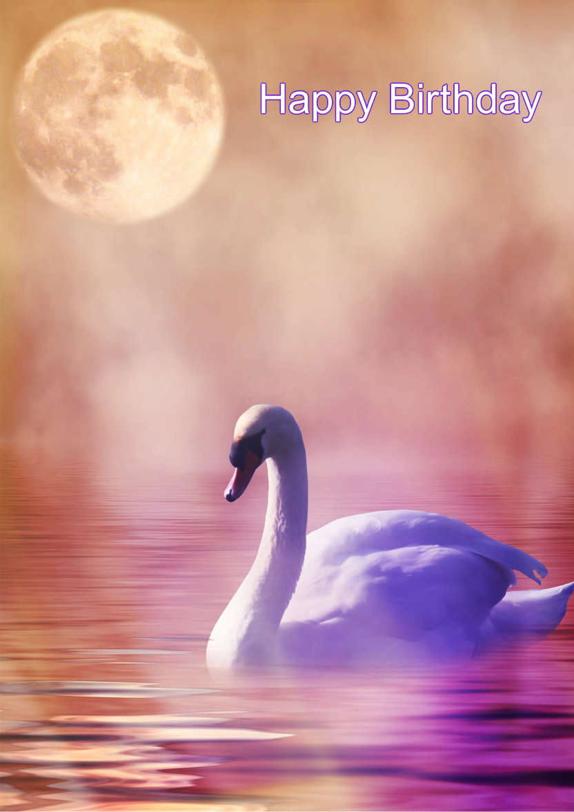 Stunning Swan Card - card made with Crafty Bob's Card Creator