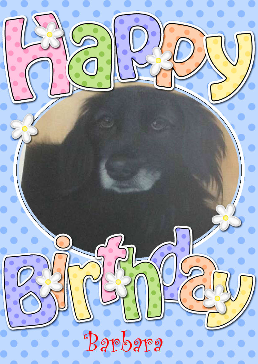 Birthday Dots & Flowers Photo Upload Card - card made with Crafty Bob's Card Creator