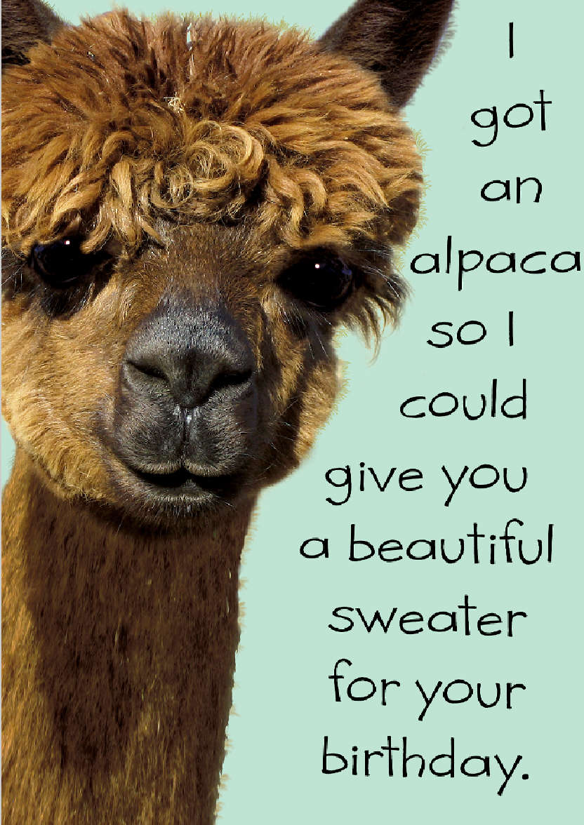 White Plain Background - card made with Crafty Bob's Card Creator