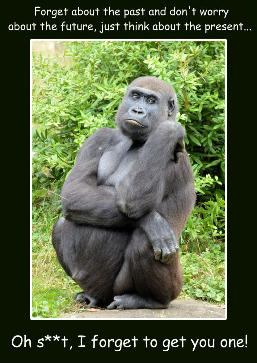 Forgetful Gorilla Humorous Card Front - card made with Crafty Bob's Card Creator