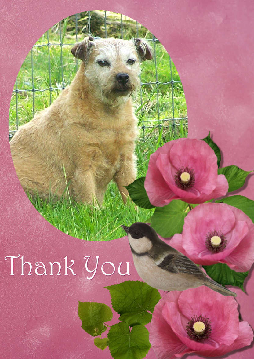 Floral Aperture Photo Card - card made with Crafty Bob's Card Creator