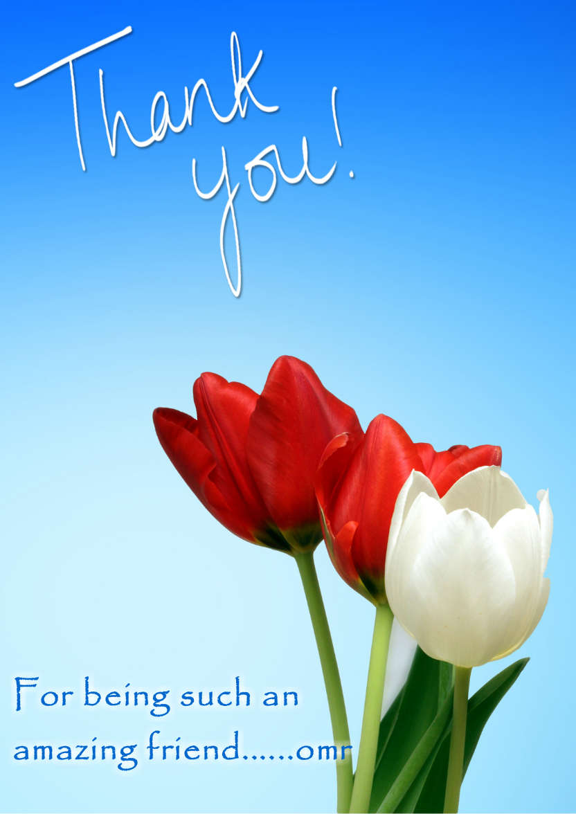 Thank You Tulips Card Front - card made with Crafty Bob's Card Creator
