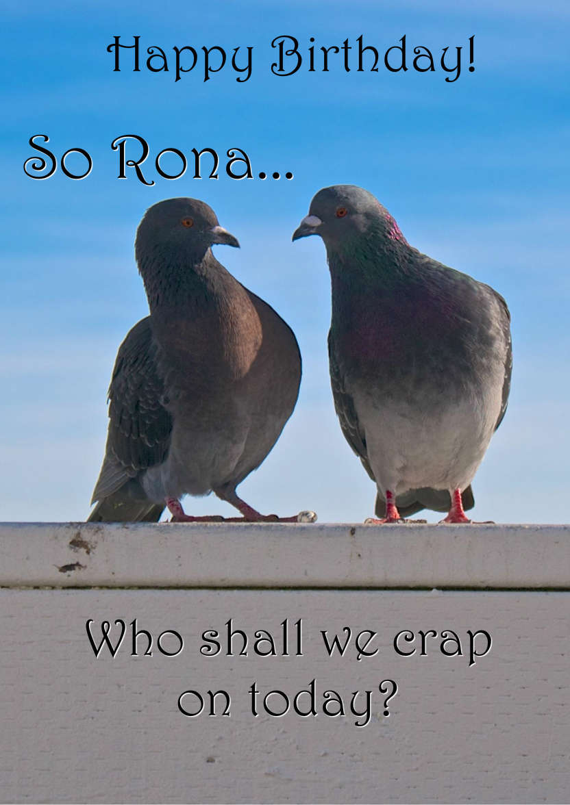 Pigeon Plans Humorous Card Front - card made with Crafty Bob's Card Creator