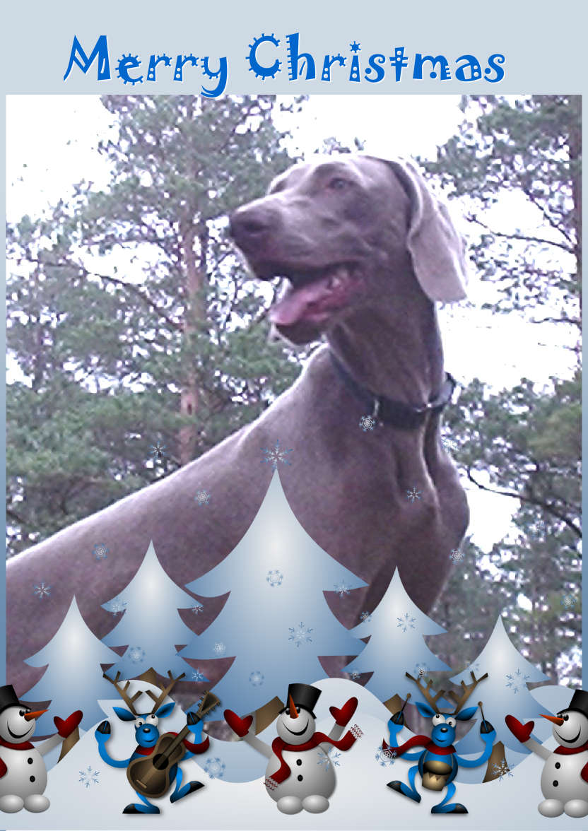 Dancing Christmas Friends - card made with Crafty Bob's Card Creator
