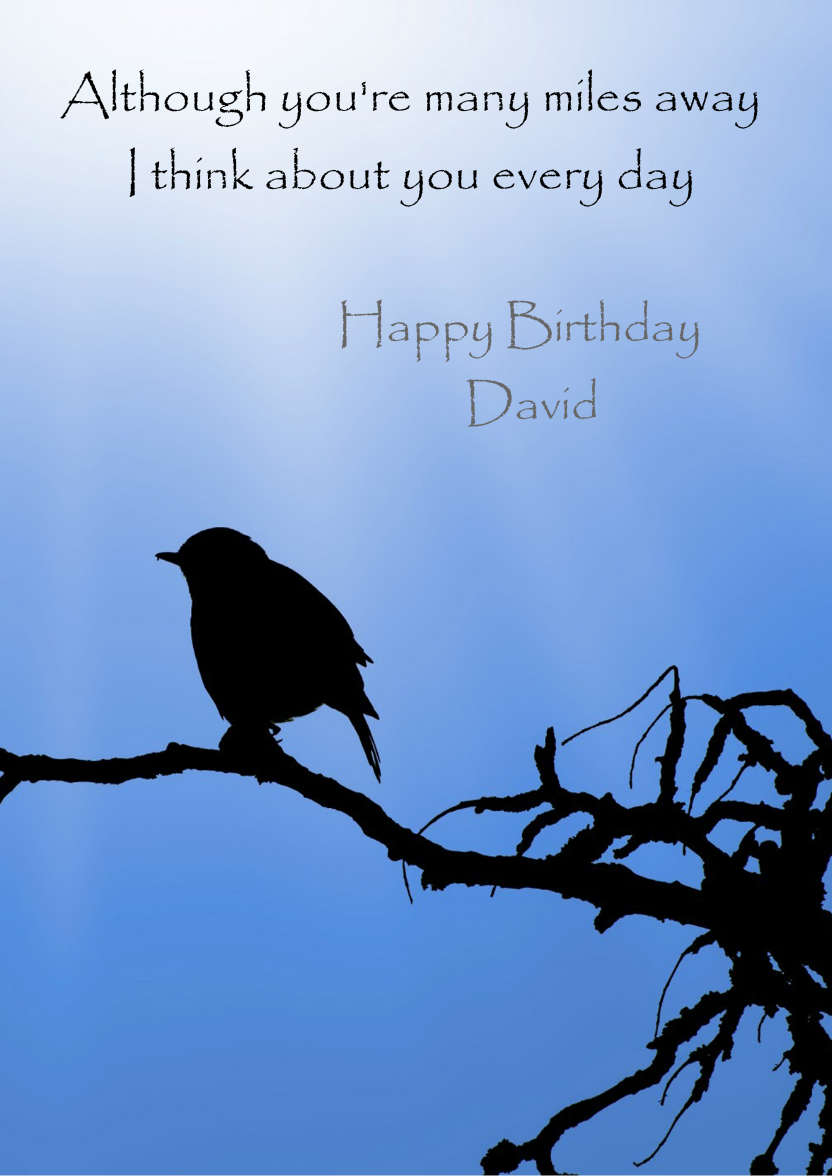 Silhouette Bird on a Branch - card made with Crafty Bob's Card Creator
