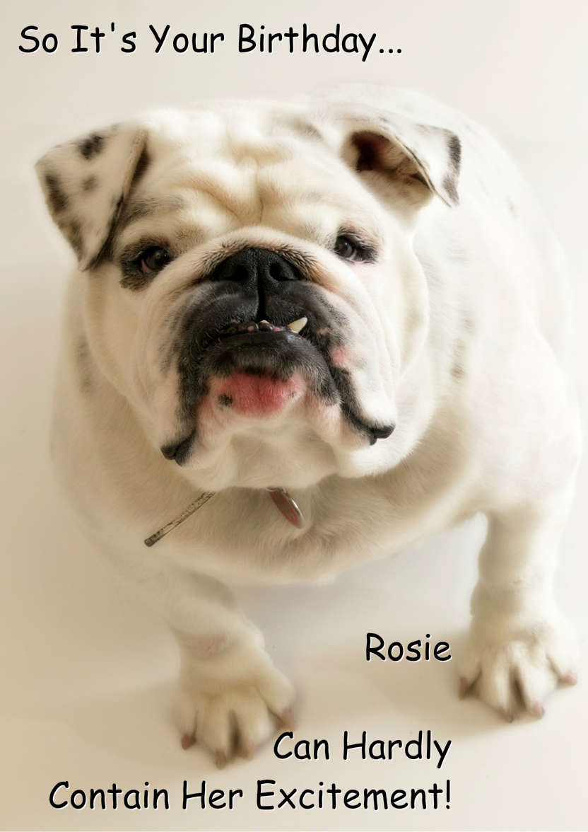Excited Bulldog Card Front - card made with Crafty Bob's Card Creator