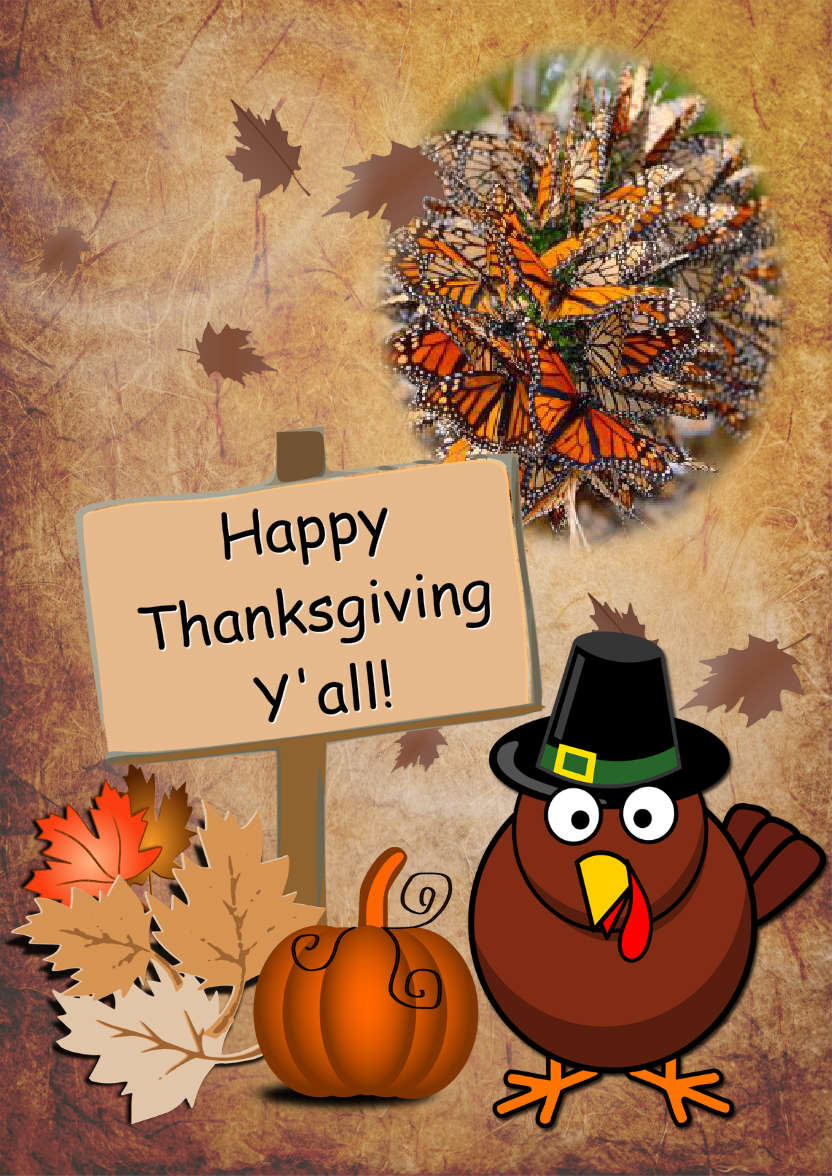 Thanksgiving Turkey Photo Card - card made with Crafty Bob's Card Creator