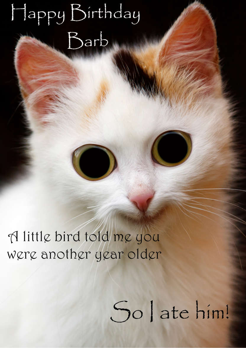 Mischievous Cat Humorous Card Front - card made with Crafty Bob's Card Creator