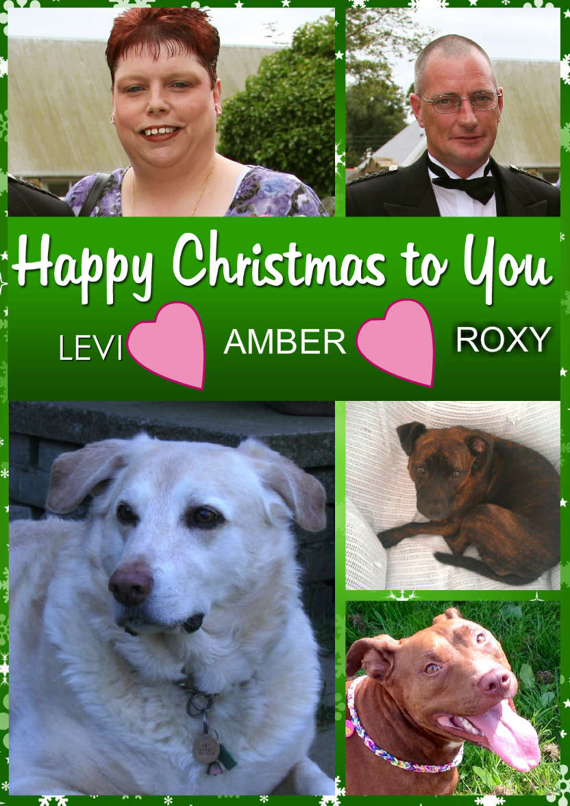 Green Multi Photo Christmas Card - card made with Crafty Bob's Card Creator