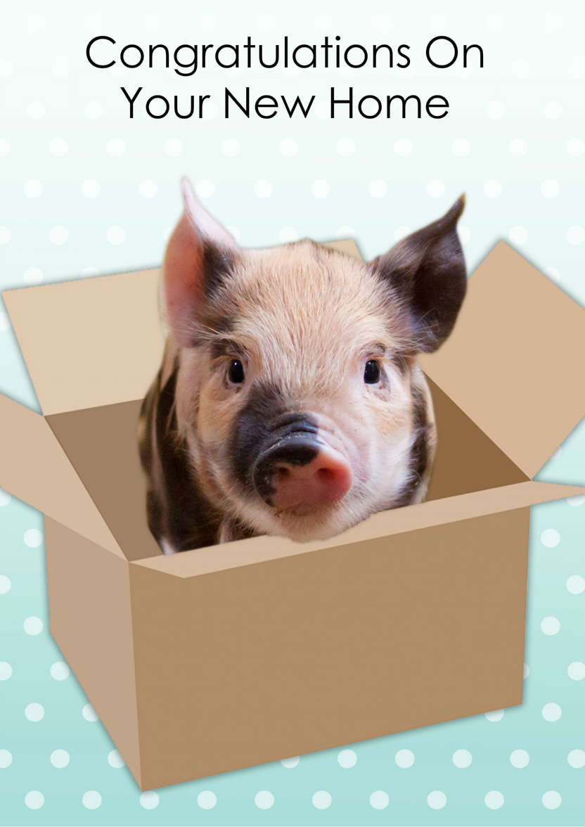Cute Pig New Home Card - card made with Crafty Bob's Card Creator
