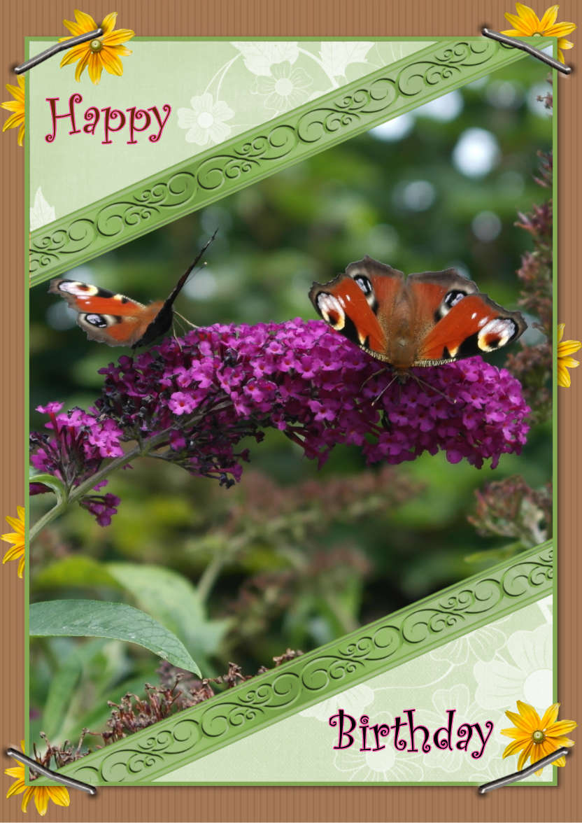 Butterfly Fun - card made with Crafty Bob's Card Creator
