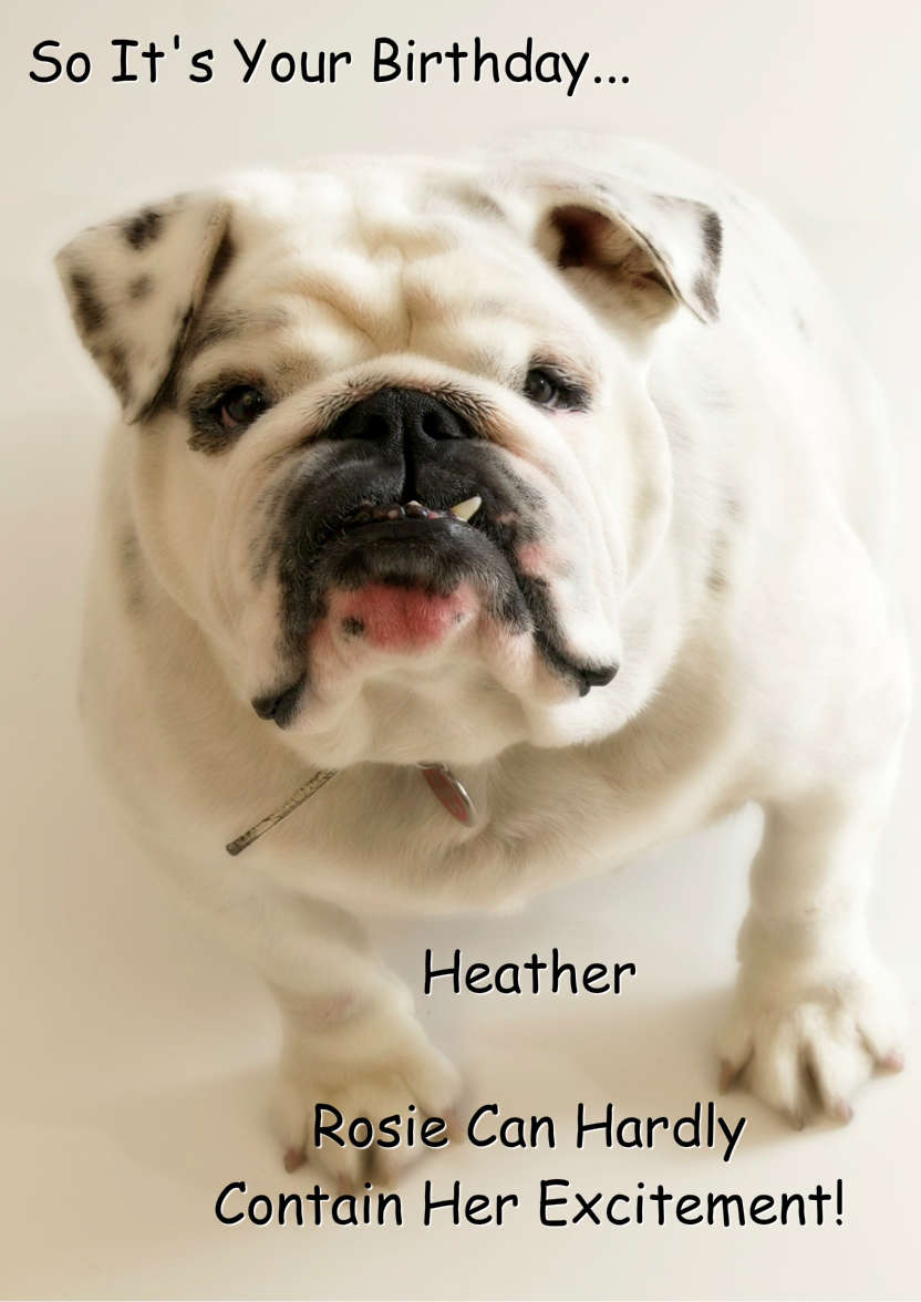Excited Bulldog Card Front - card made with Crafty Bob's Card Creator