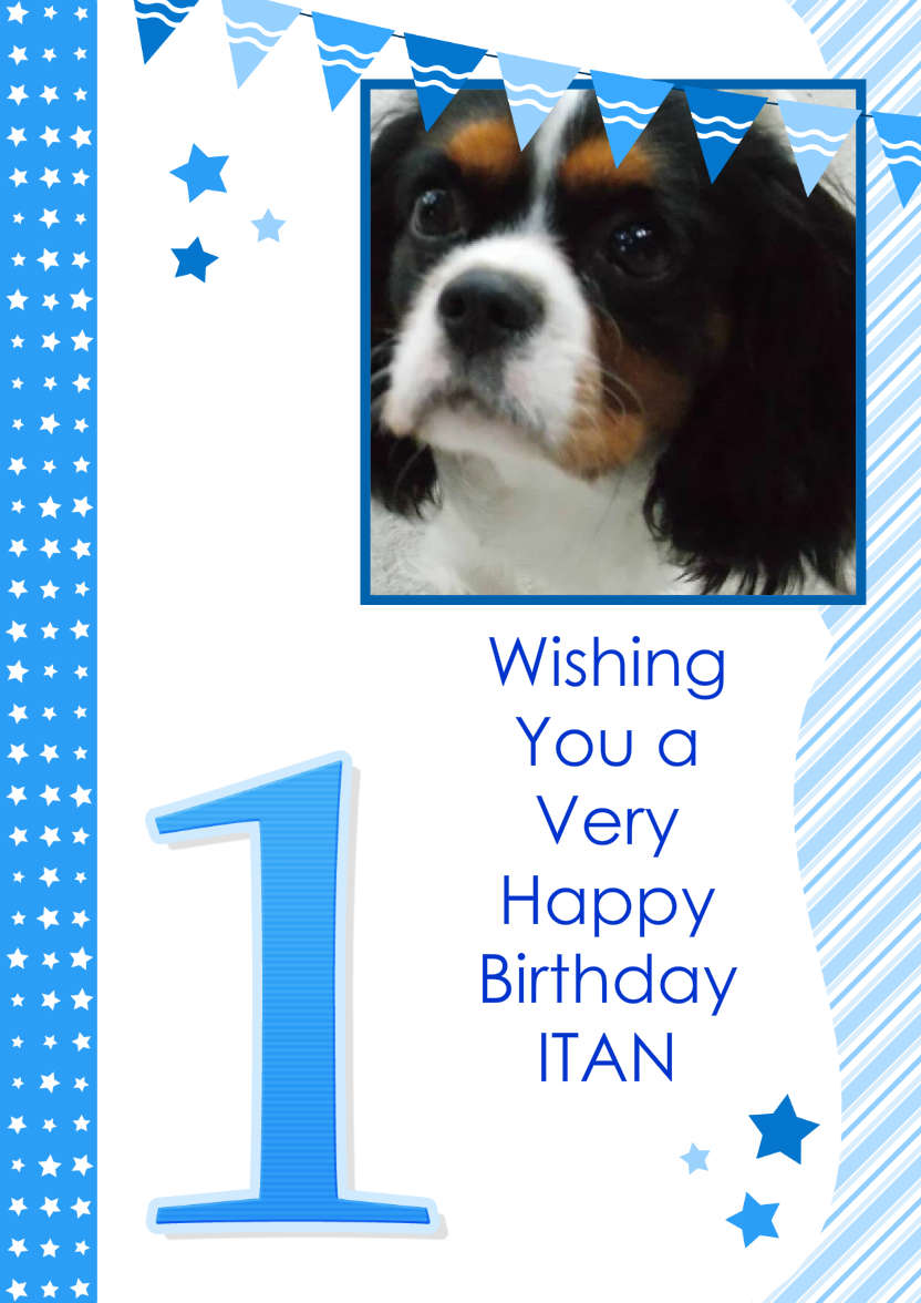 Stars and Stripes First Birthday Boy - card made with Crafty Bob's Card Creator