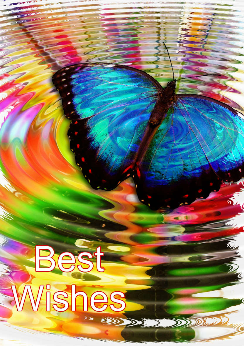 Butterfly Dreams - card made with Crafty Bob's Card Creator
