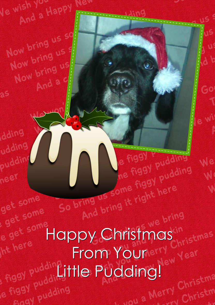 Christmas Figgy Pudding Photo Card - card made with Crafty Bob's Card Creator