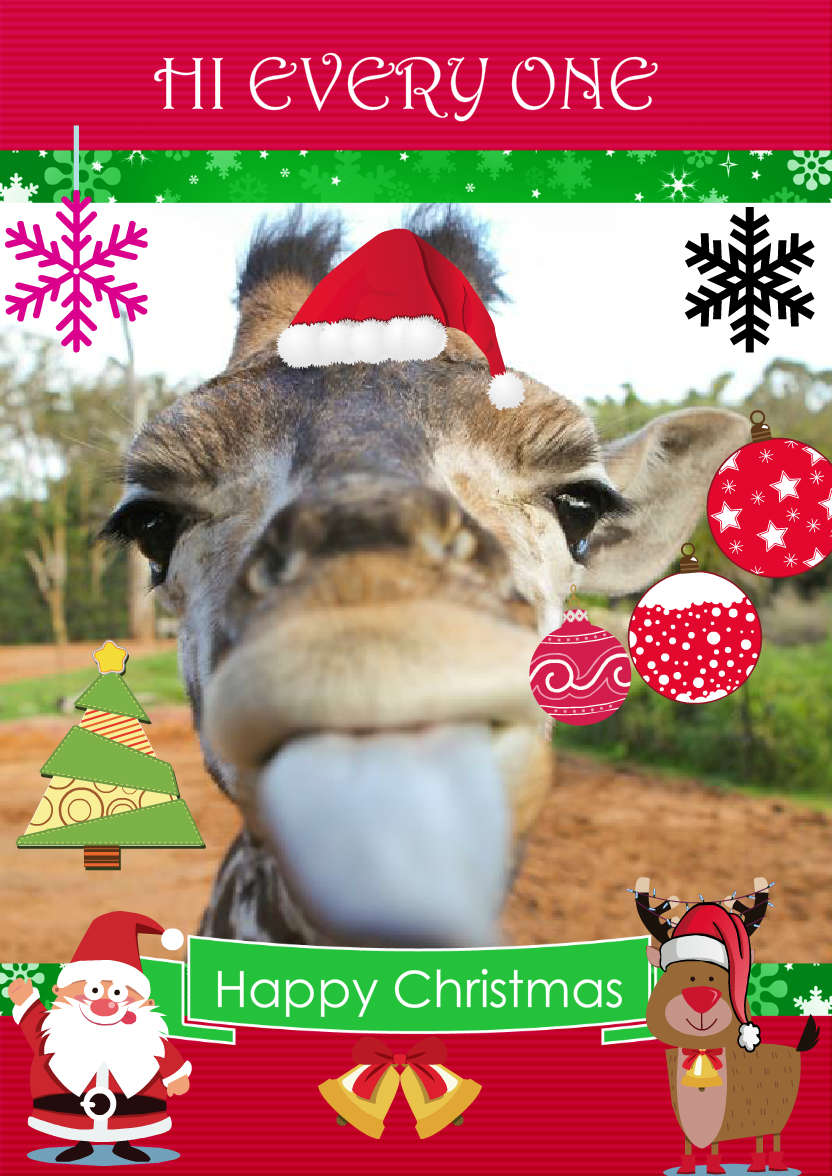 Christmas Frame Card - card made with Crafty Bob's Card Creator